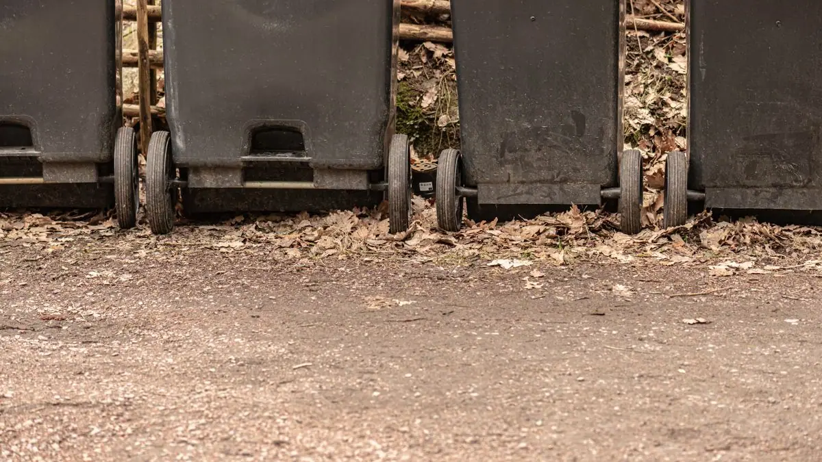 11 Surprising Junk Disposal Laws Sacramento Homeowners Always Break