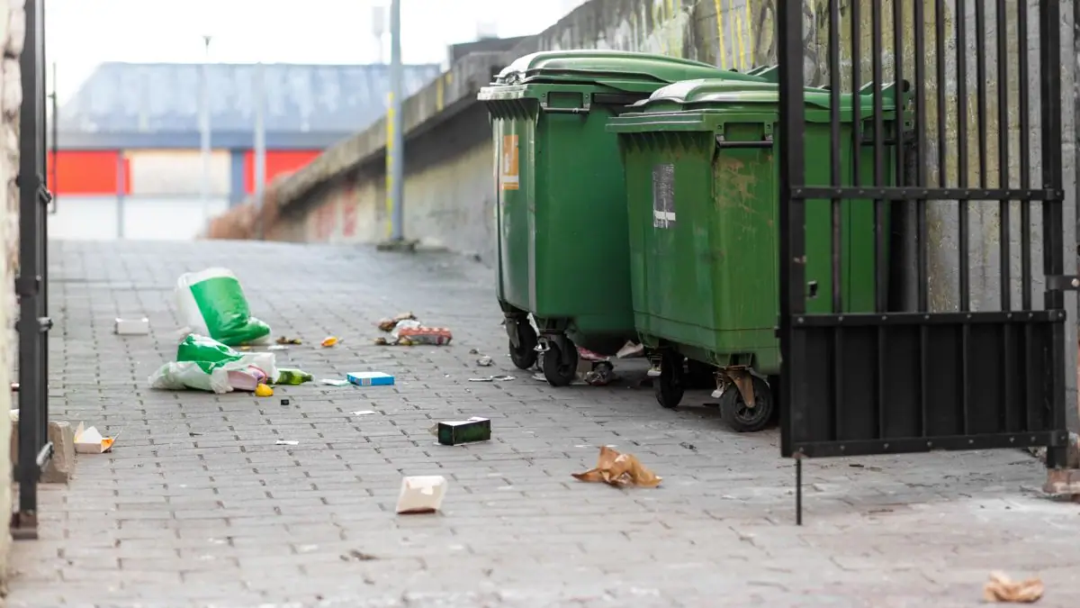 Junk Removal Rules & Laws by City