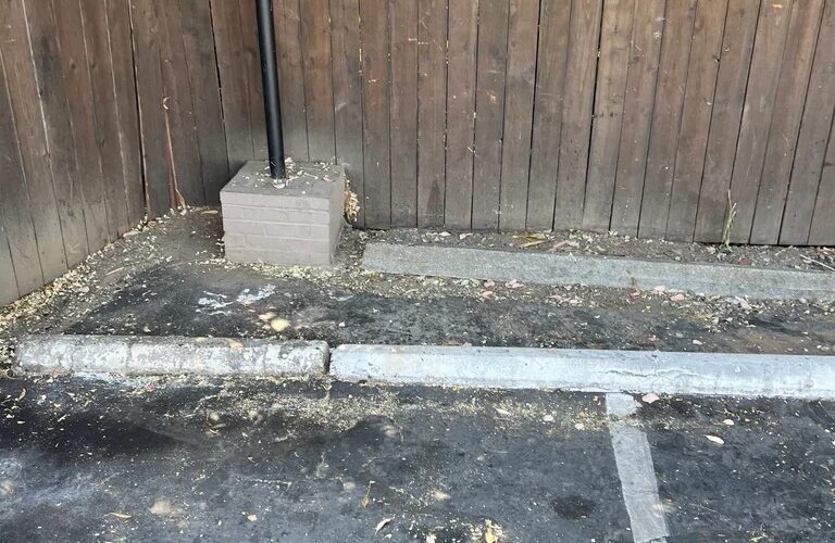 Junk removal davis