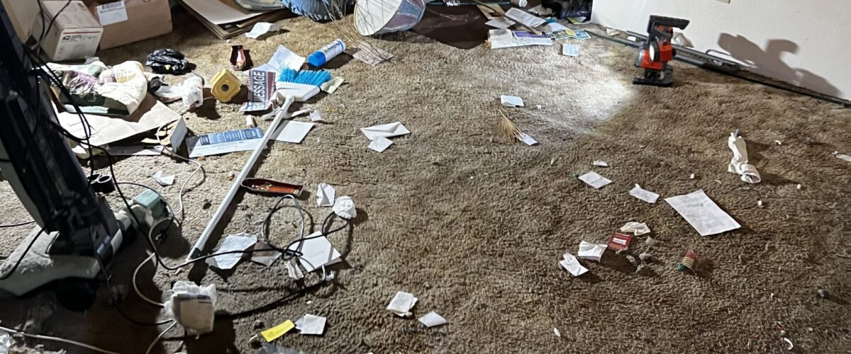Junk removal citrus heights