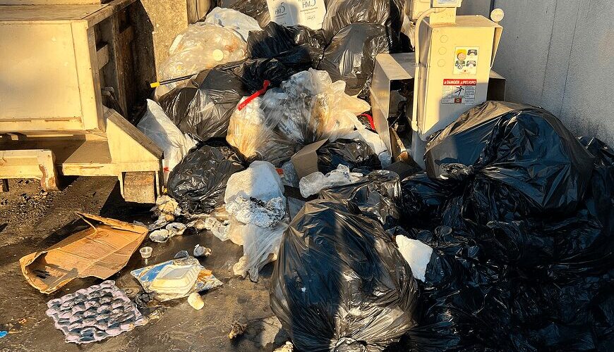 Davis hauling and junk removal