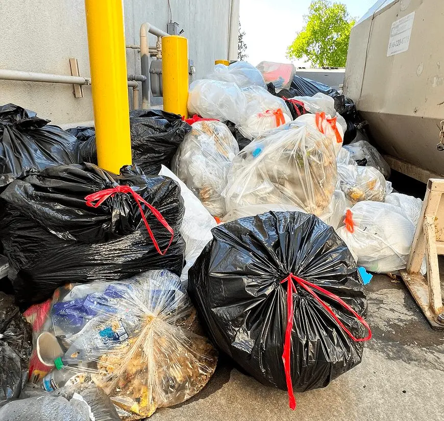 Davis hauling and junk removal