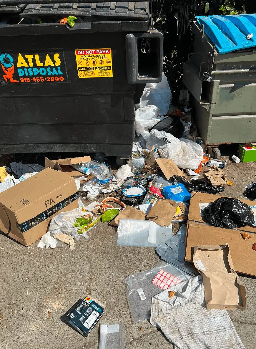 Davis hauling and junk removal