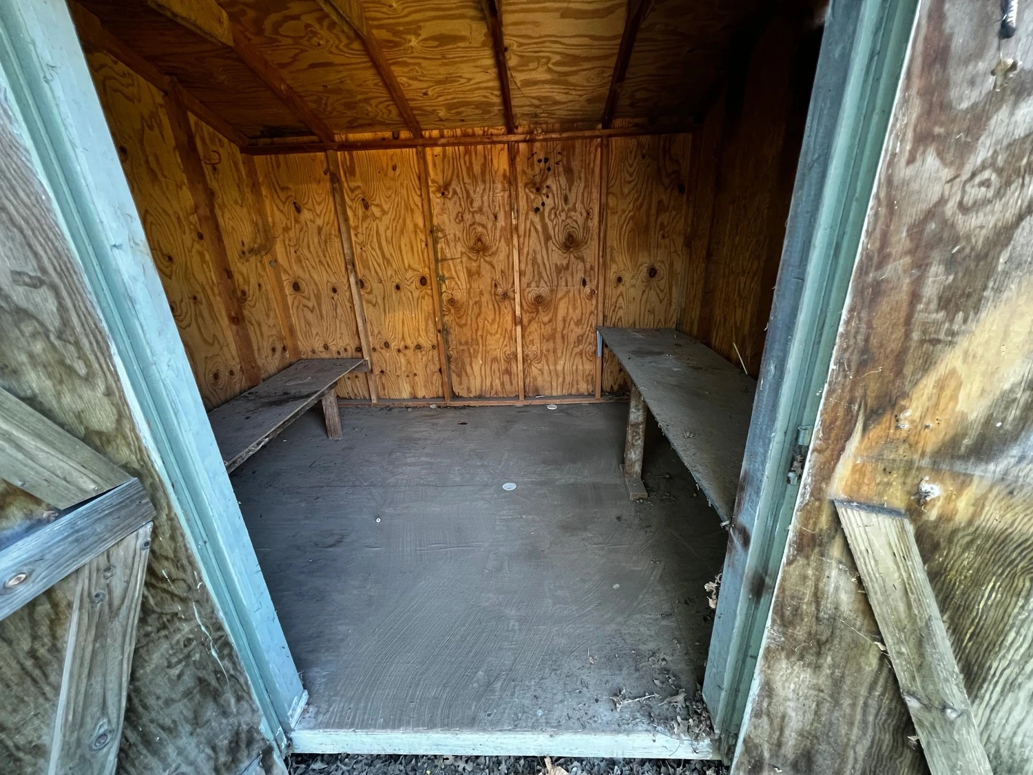 Shed 3 1