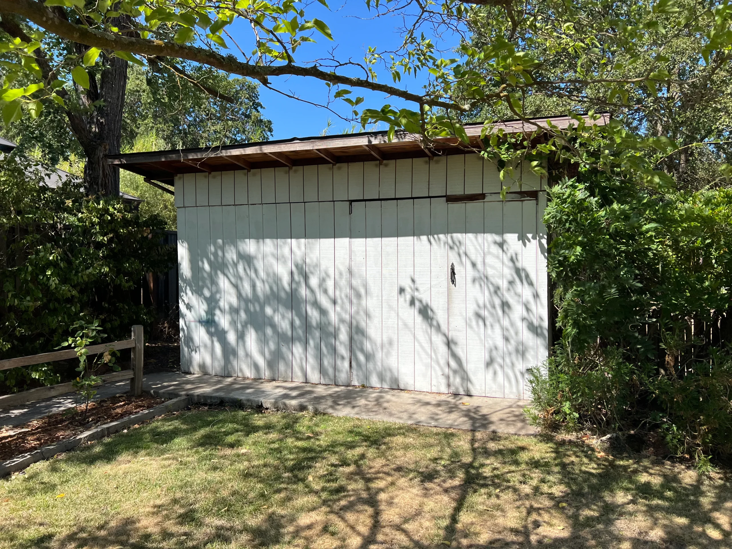 Shed 5 scaled